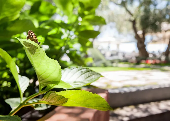 Grand Diana Majestic Hotel Diano Marina